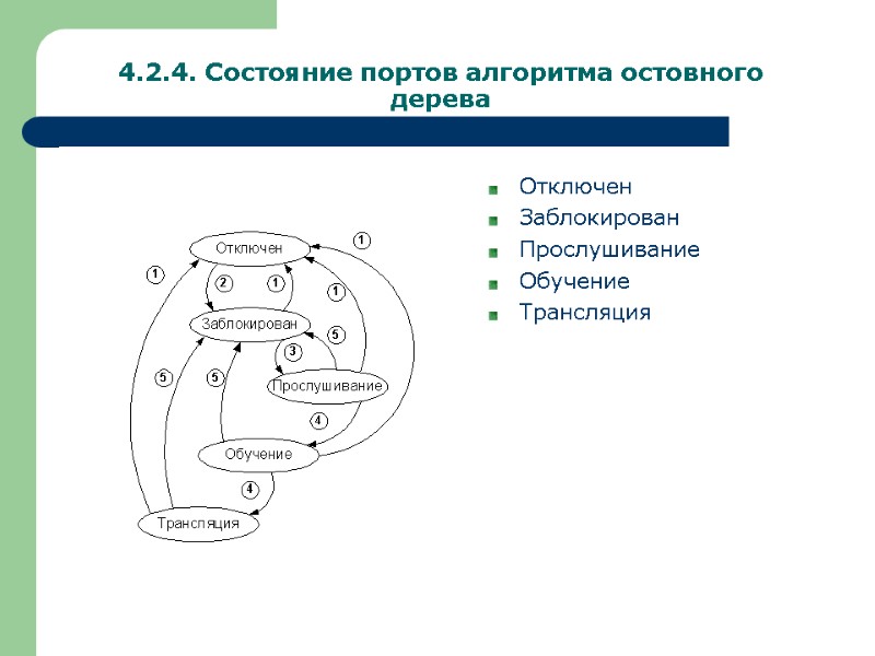 4.2.4. Состояние портов алгоритма остовного дерева Отключен Заблокирован Прослушивание Обучение Трансляция